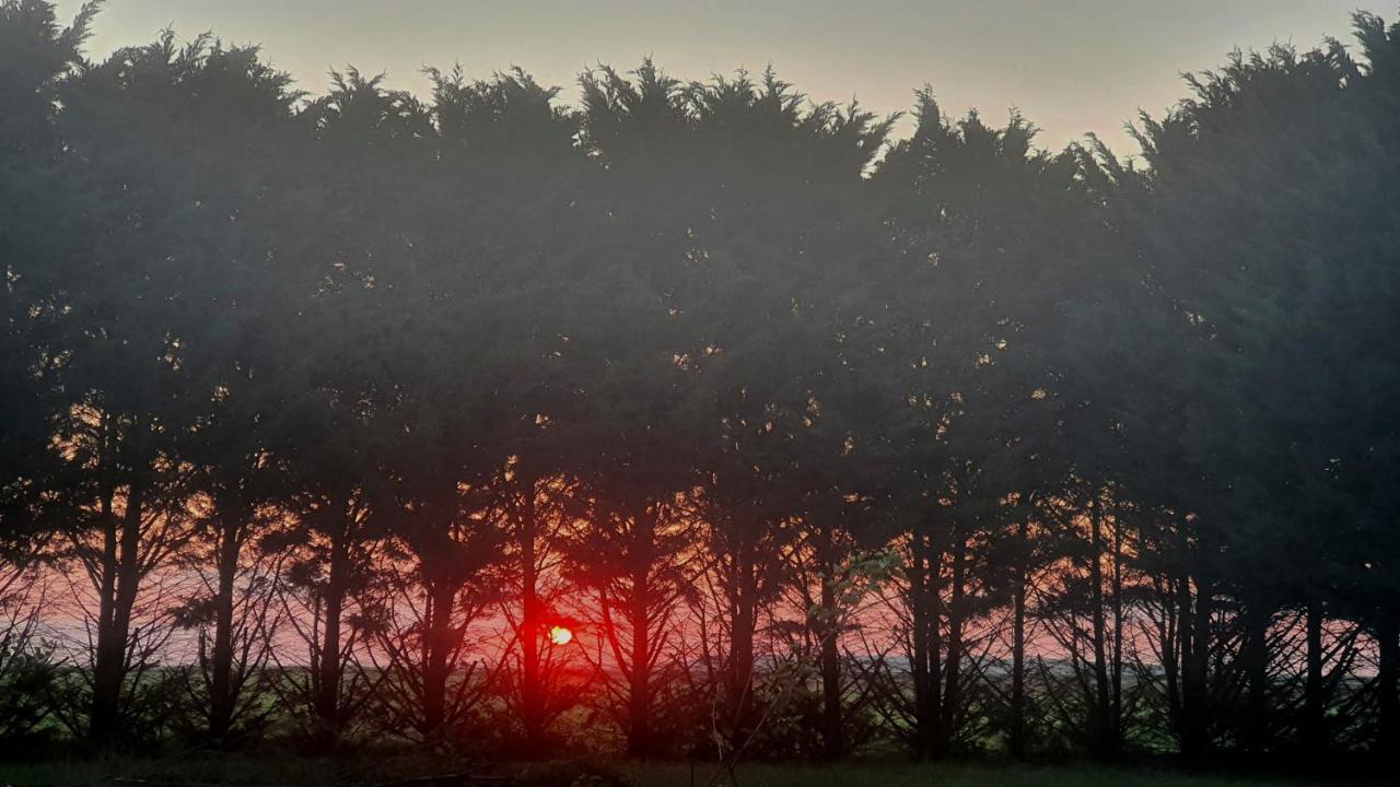 Bois De Crane Landes-le-Gaulois Exterior foto